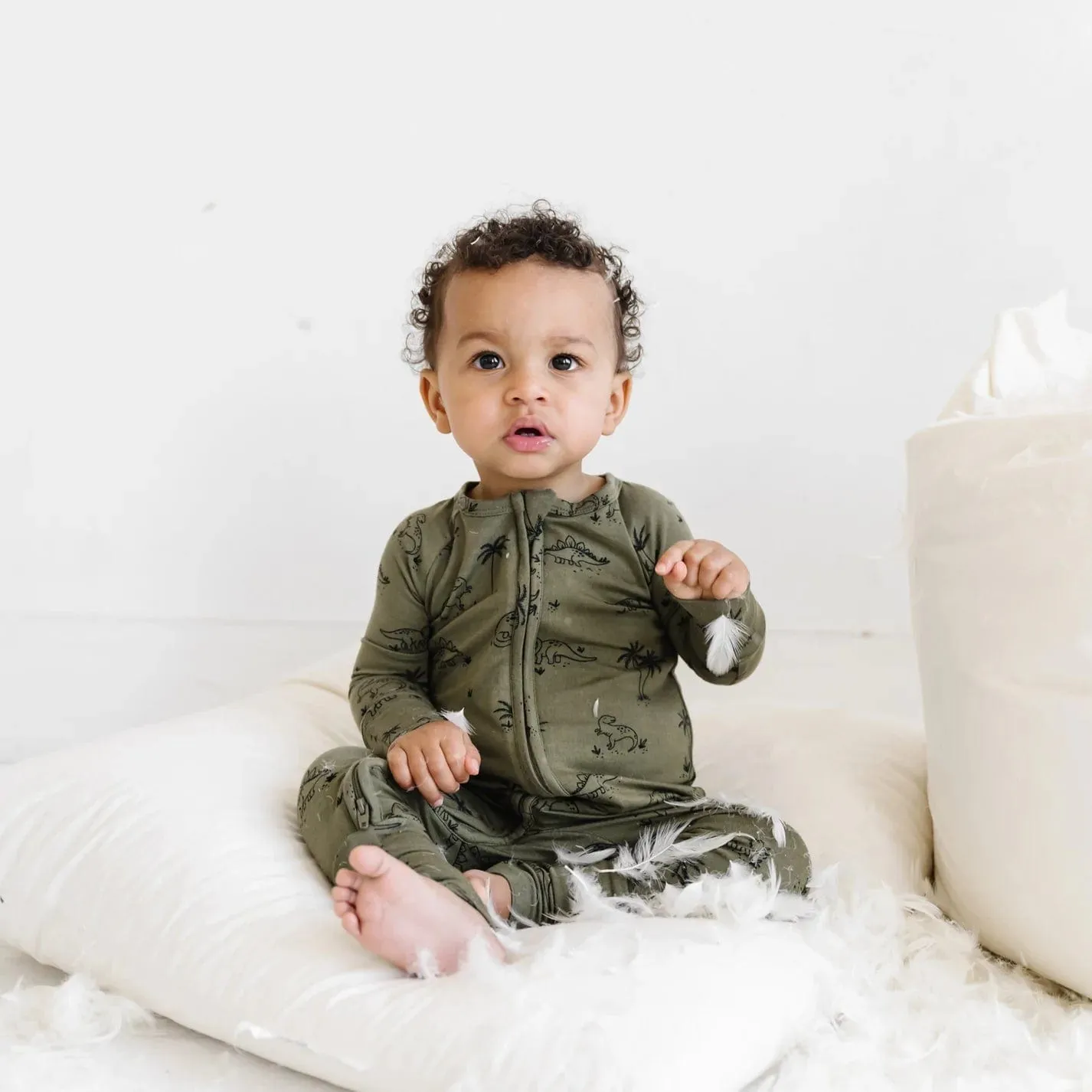 Dinosaurs Zip Romper