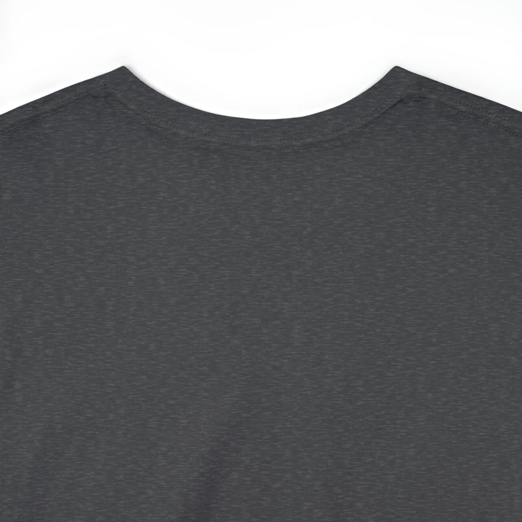 "My Pronouns are USA" in a super comfy heavy cotton t-shirt