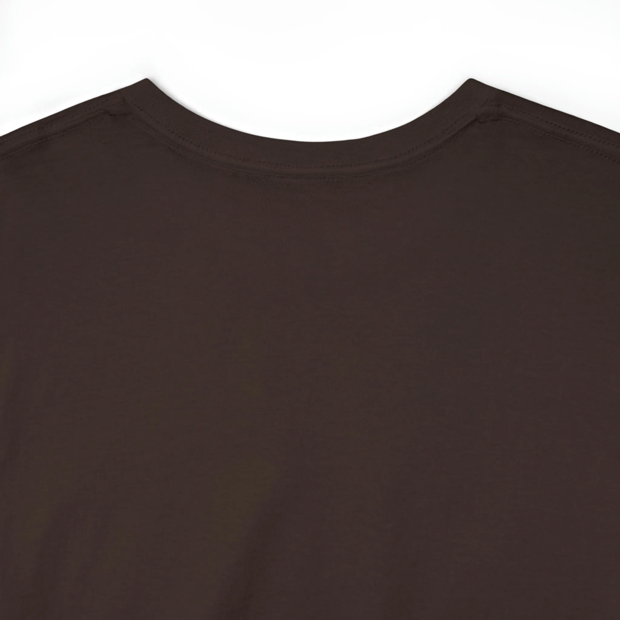 "My Pronouns are USA" in a super comfy heavy cotton t-shirt