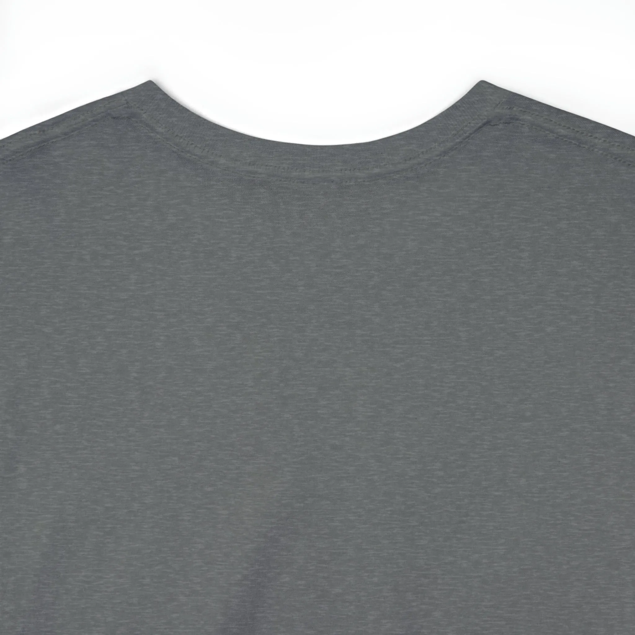"My Pronouns are USA" in a super comfy heavy cotton t-shirt