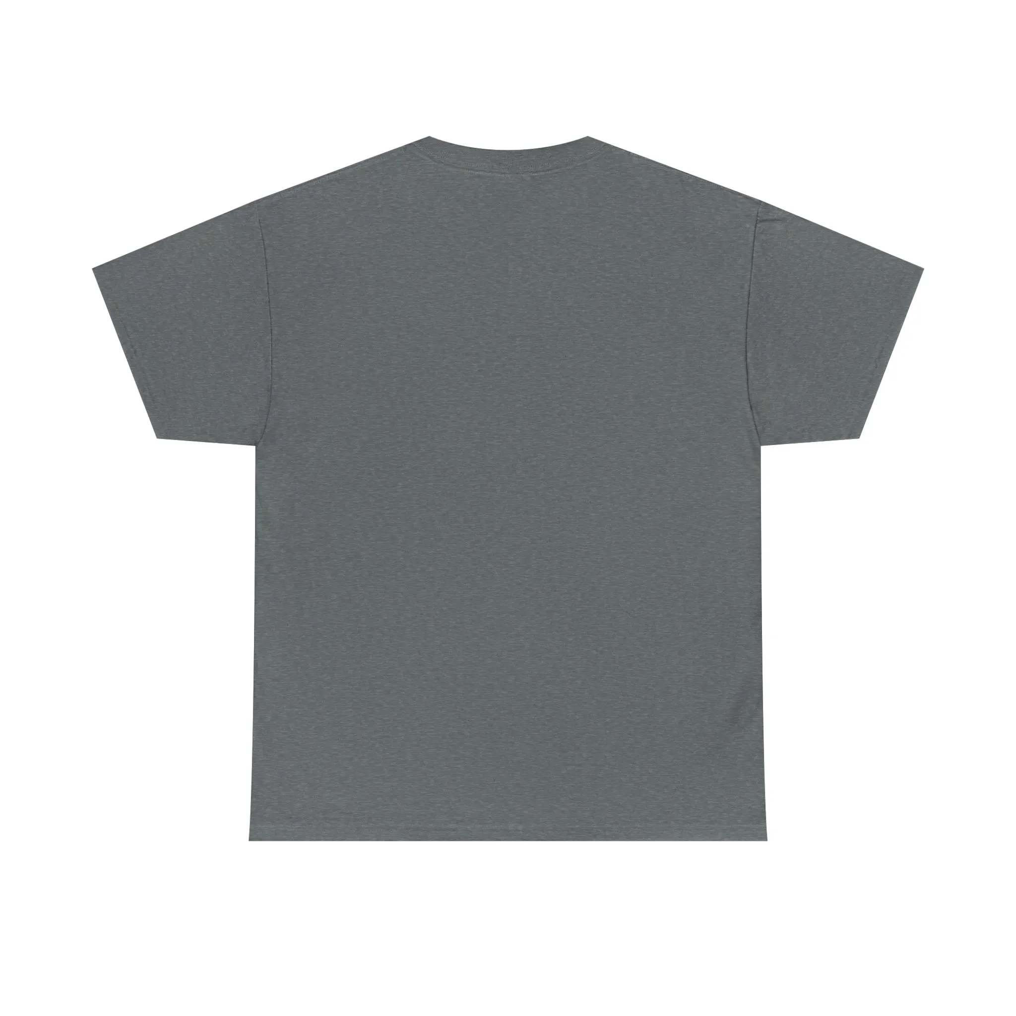 "My Pronouns are USA" in a super comfy heavy cotton t-shirt