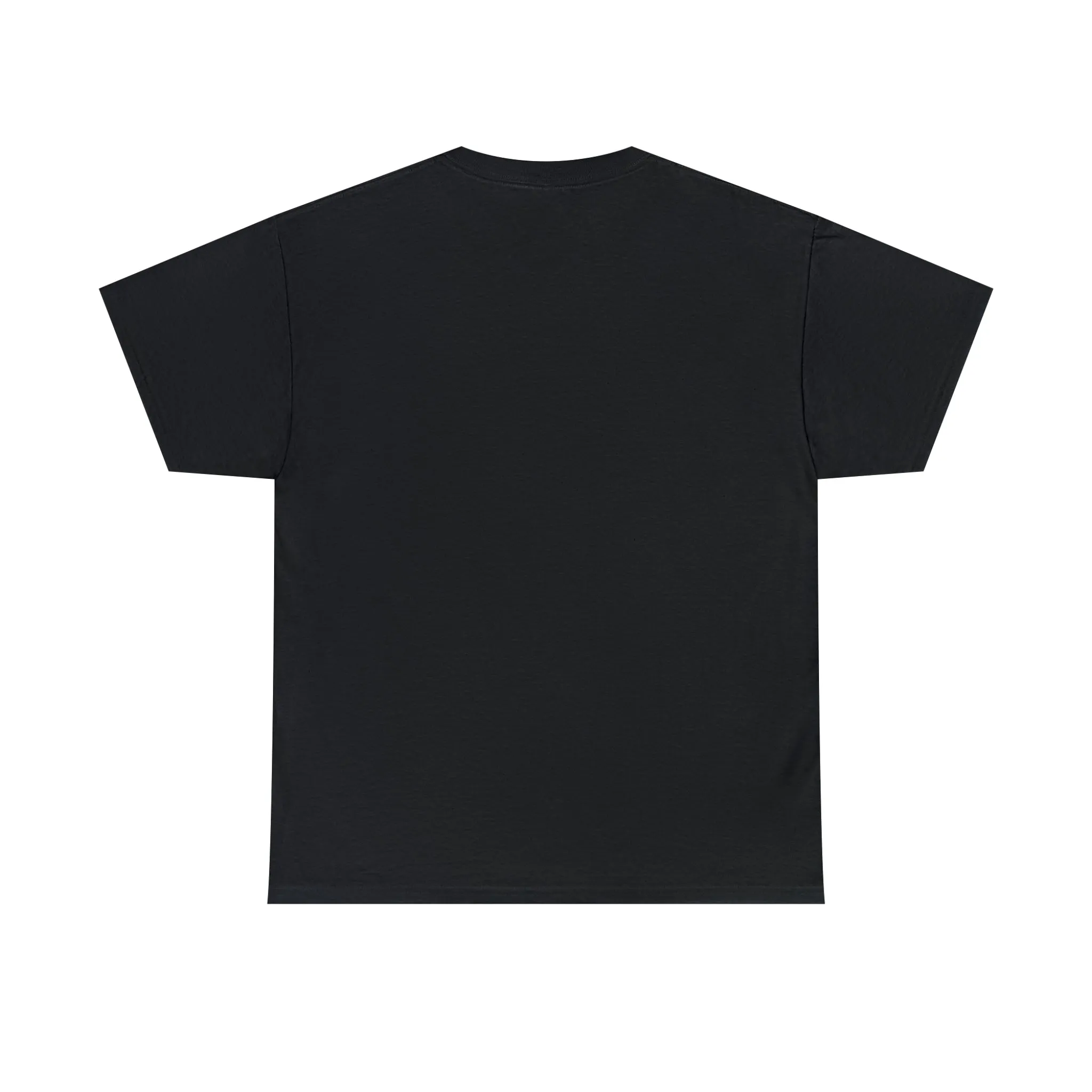 "My Pronouns are USA" in a super comfy heavy cotton t-shirt