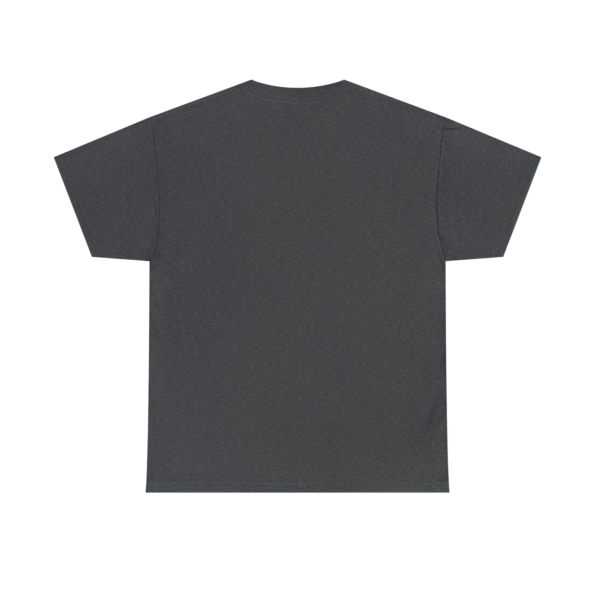 "My Pronouns are USA" in a super comfy heavy cotton t-shirt