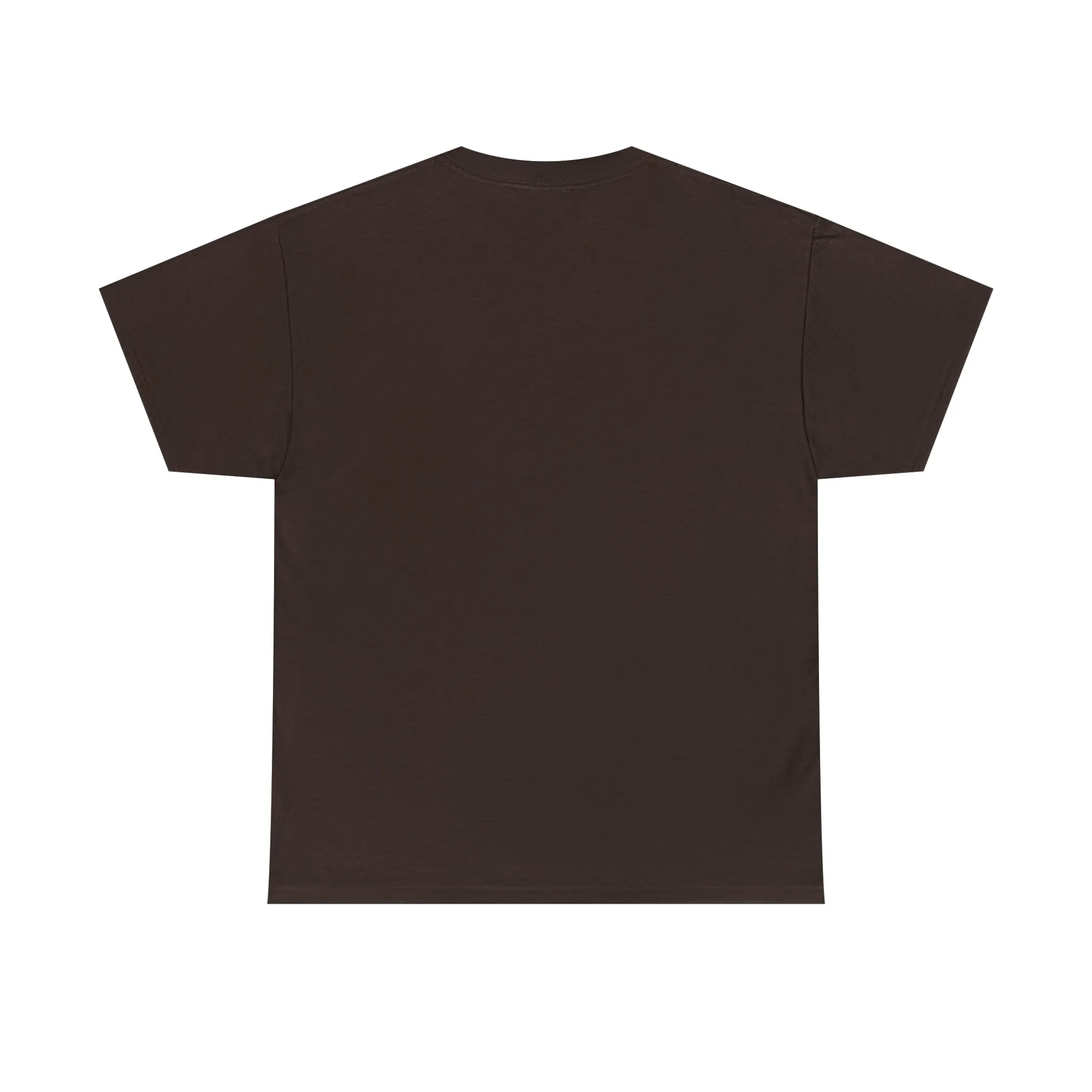 "My Pronouns are USA" in a super comfy heavy cotton t-shirt