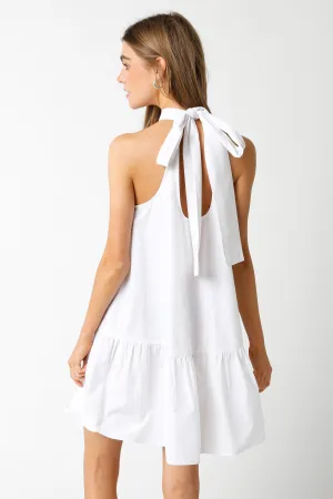 Sylvia Tie Dress - Medium