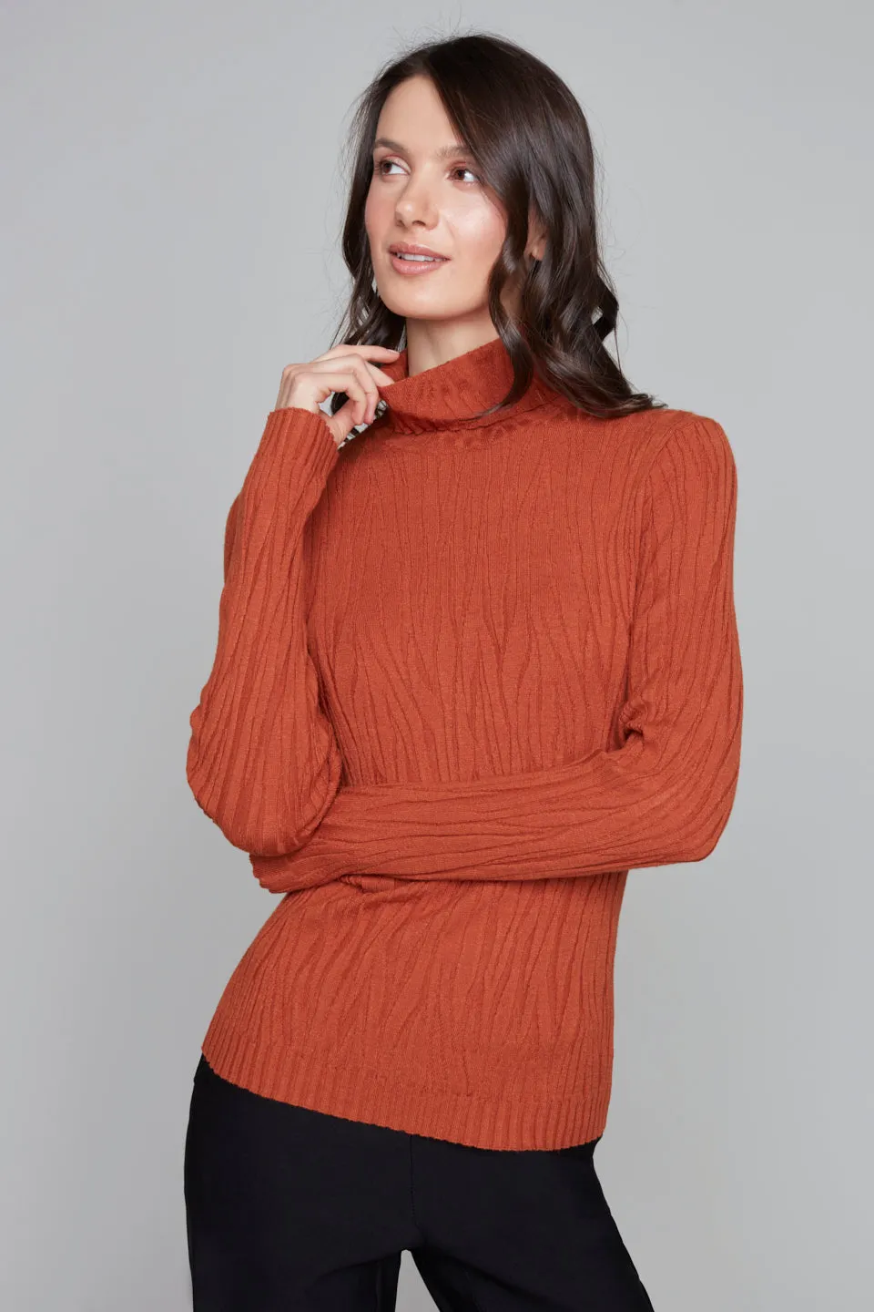 Textured Fitted Mock Neck Sweater